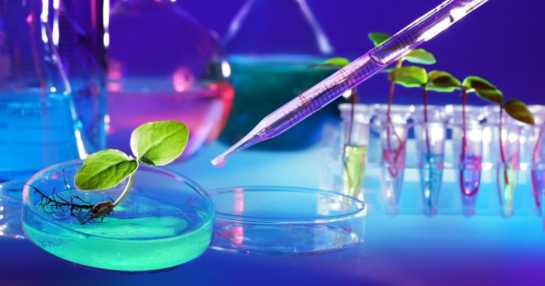 Cultivate a Learning Culture for Better Business Performance