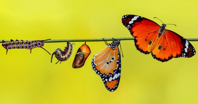 Design for Change: Because You Know It’s Coming